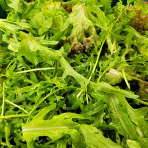 Salad Mix 120g