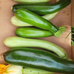 Courgettes 500g