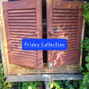 Friday Collection