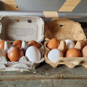 1/2 Doz Eggs